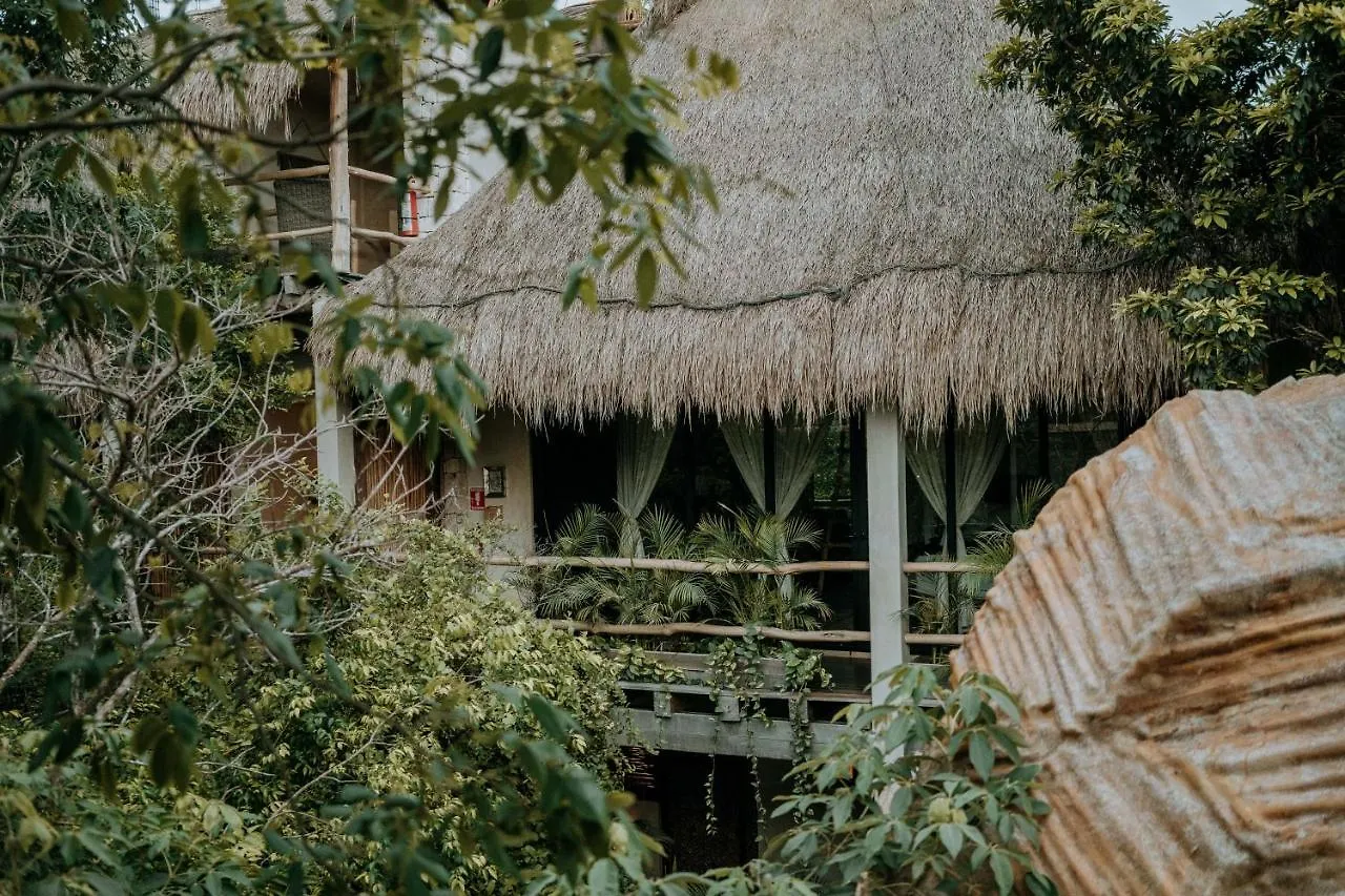 Hotel Orchid House Tulum Jungle