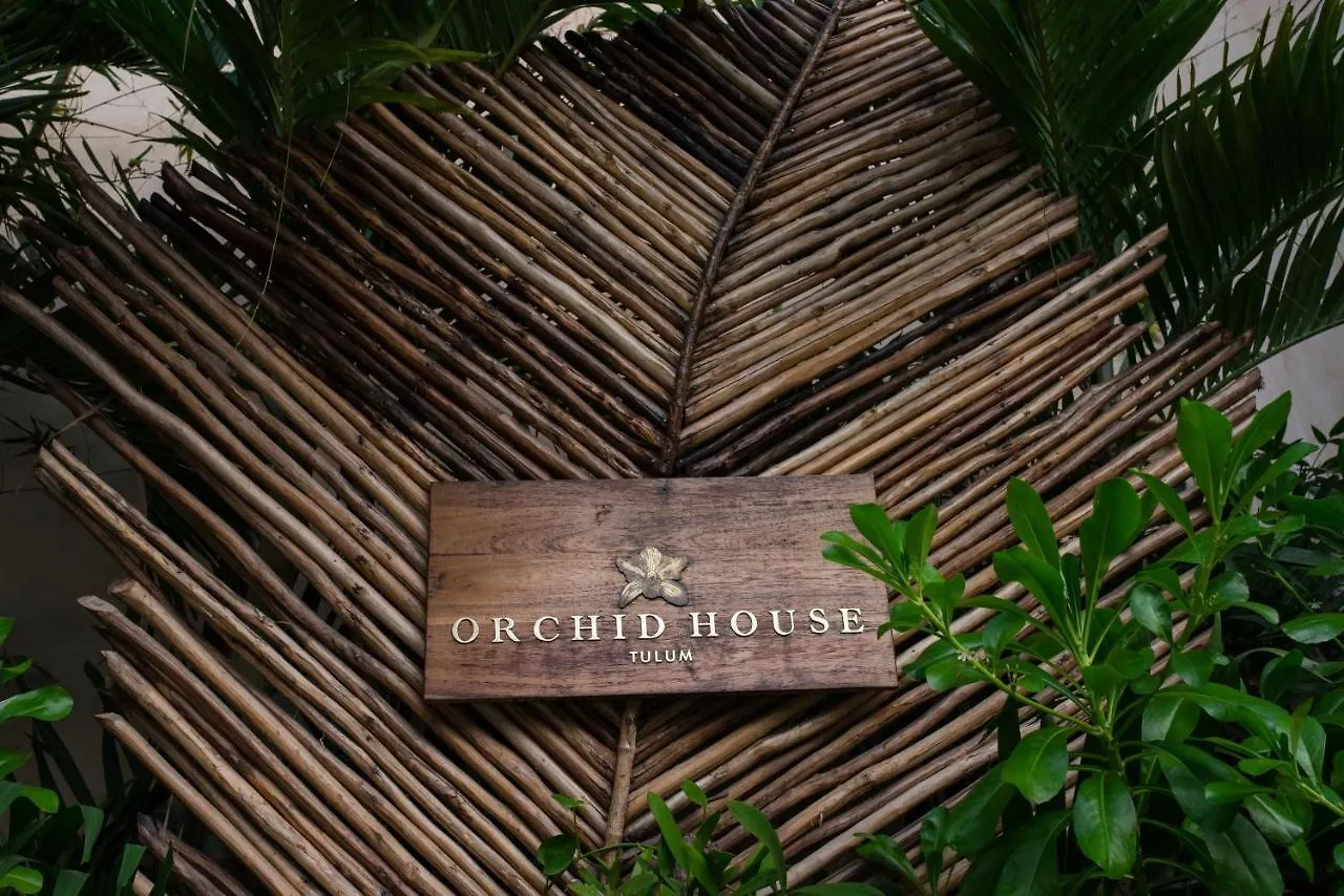 Hotel Orchid House Tulum Jungle