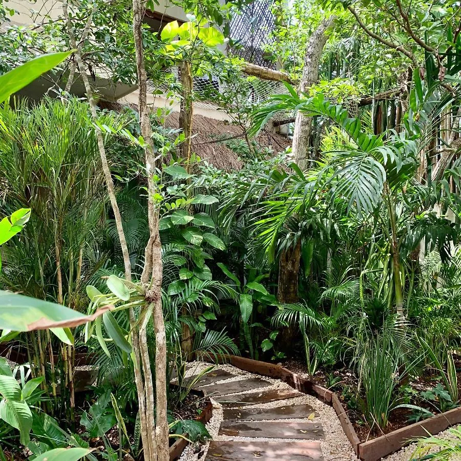 Hotel Orchid House Tulum Jungle