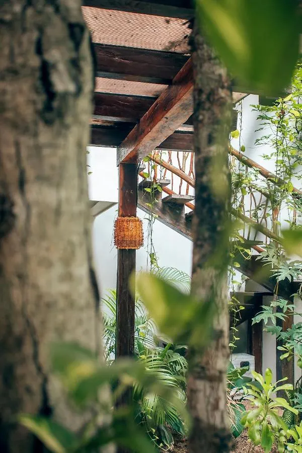 Hotel Orchid House Tulum Jungle 5*,