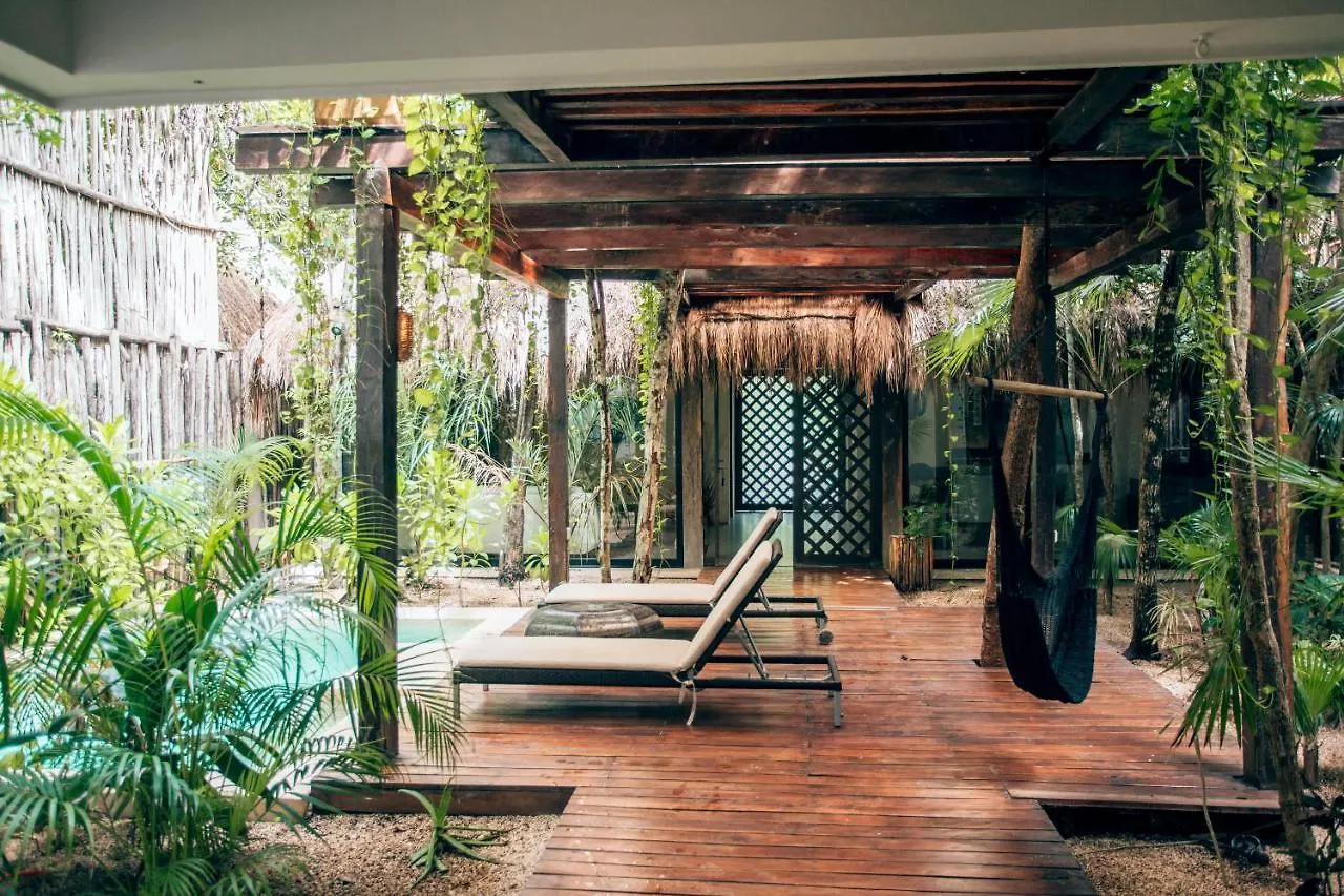 Hotel Orchid House Tulum Jungle