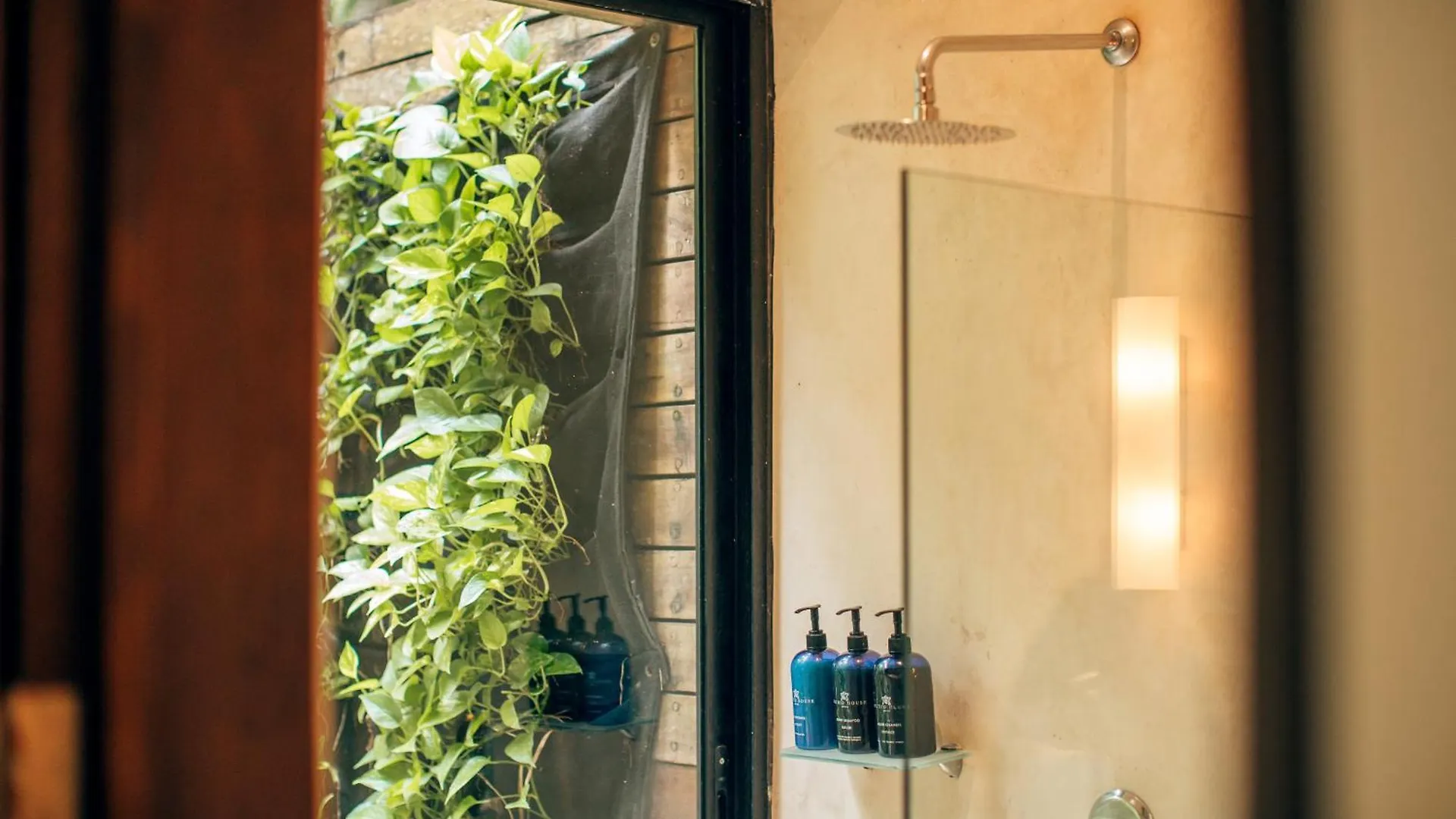Hotel Orchid House Tulum Jungle