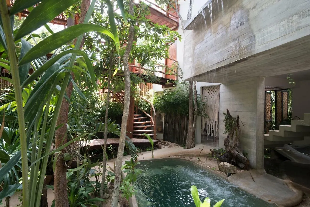 Hotel Orchid House Tulum Jungle 5*,  Meksyk